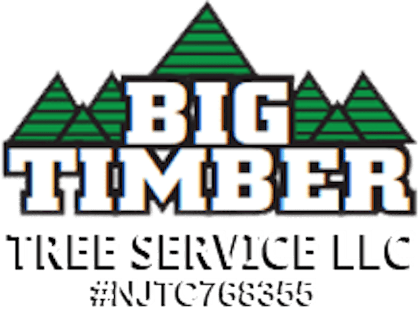 Tree Removal Big Timber Tree Service LLC