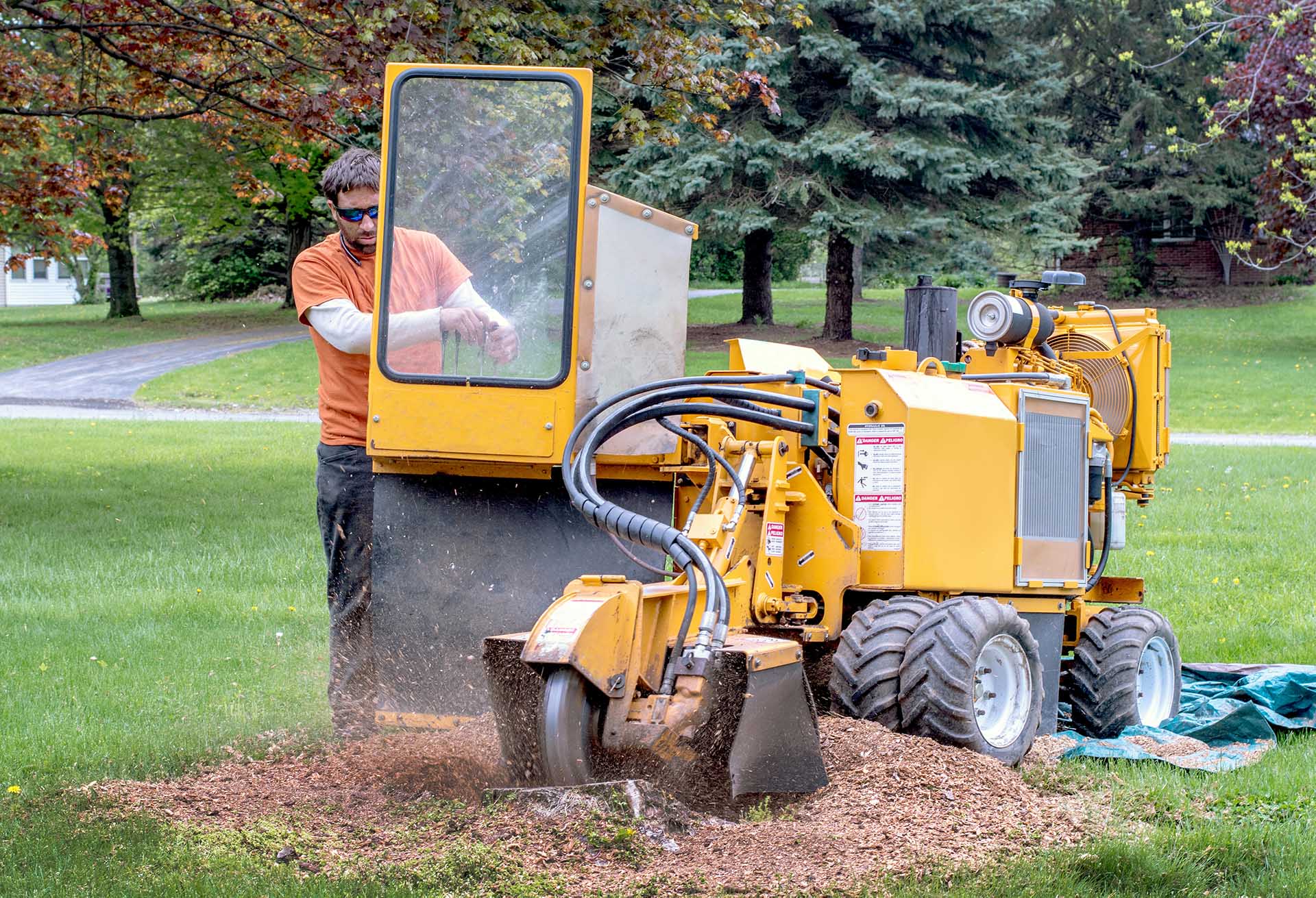 Tree Stump Removal & Grinding Services in East Brunswick Township, NJ