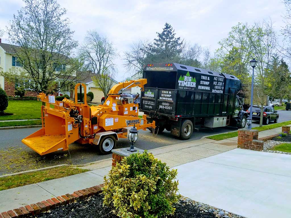Why hire West Freehold, NJ Tree Removal Services?