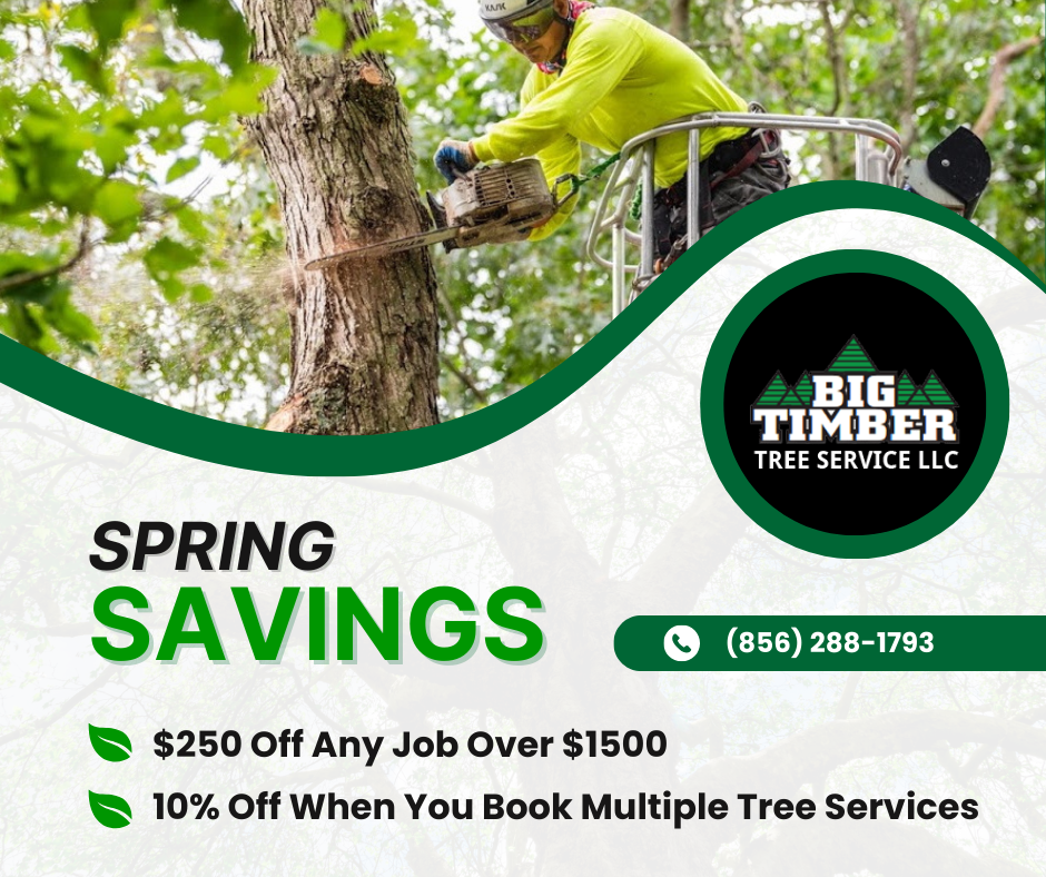Spring Newsletter Big Timber Tree Service LLC