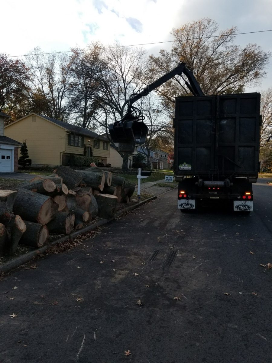 Gallery Big Timber Tree Service LLC