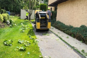 Big-Timber-Tree-Removal-2