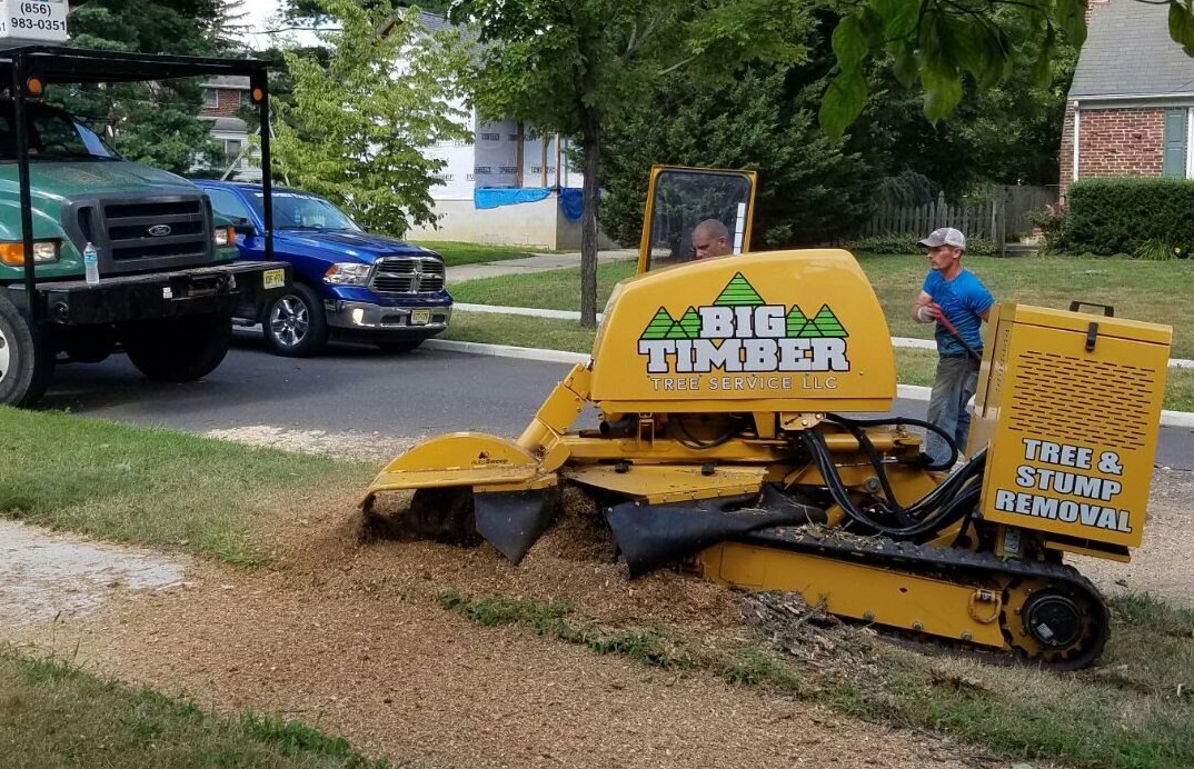 Tree Stump Removal Around South Jersey Grinding Tree Stump Removal Around South Jersey Grinding