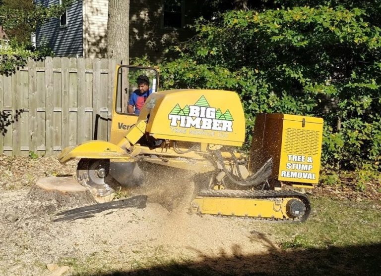 tree removal pennsauken