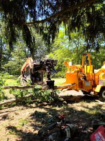 Tree-Removal-Services-3 Big Timber Tree Service Customer Testimonials in Brooklawn, NJ