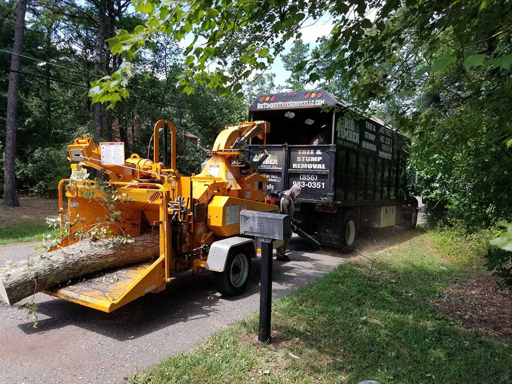 Tree Removal Services in West Freehold, NJ
