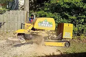 Marlton, NJ Stump Removal Services