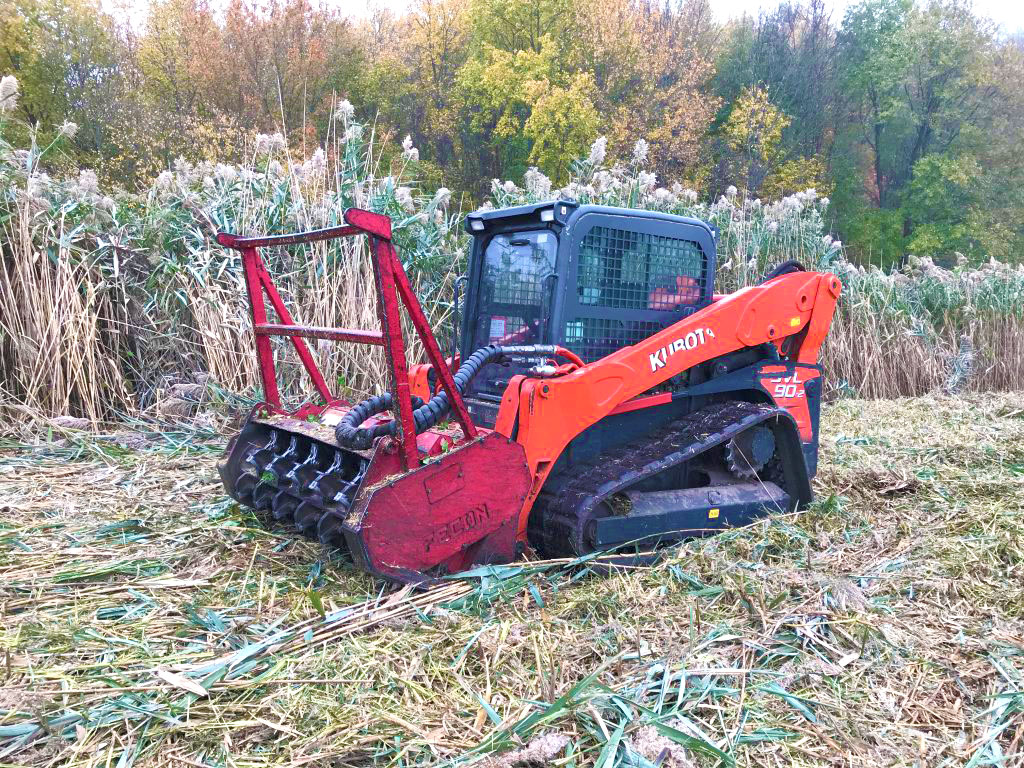 BrushMowing Brush Clearing for Fire Prevention in Edgewater Park, NJ<br />