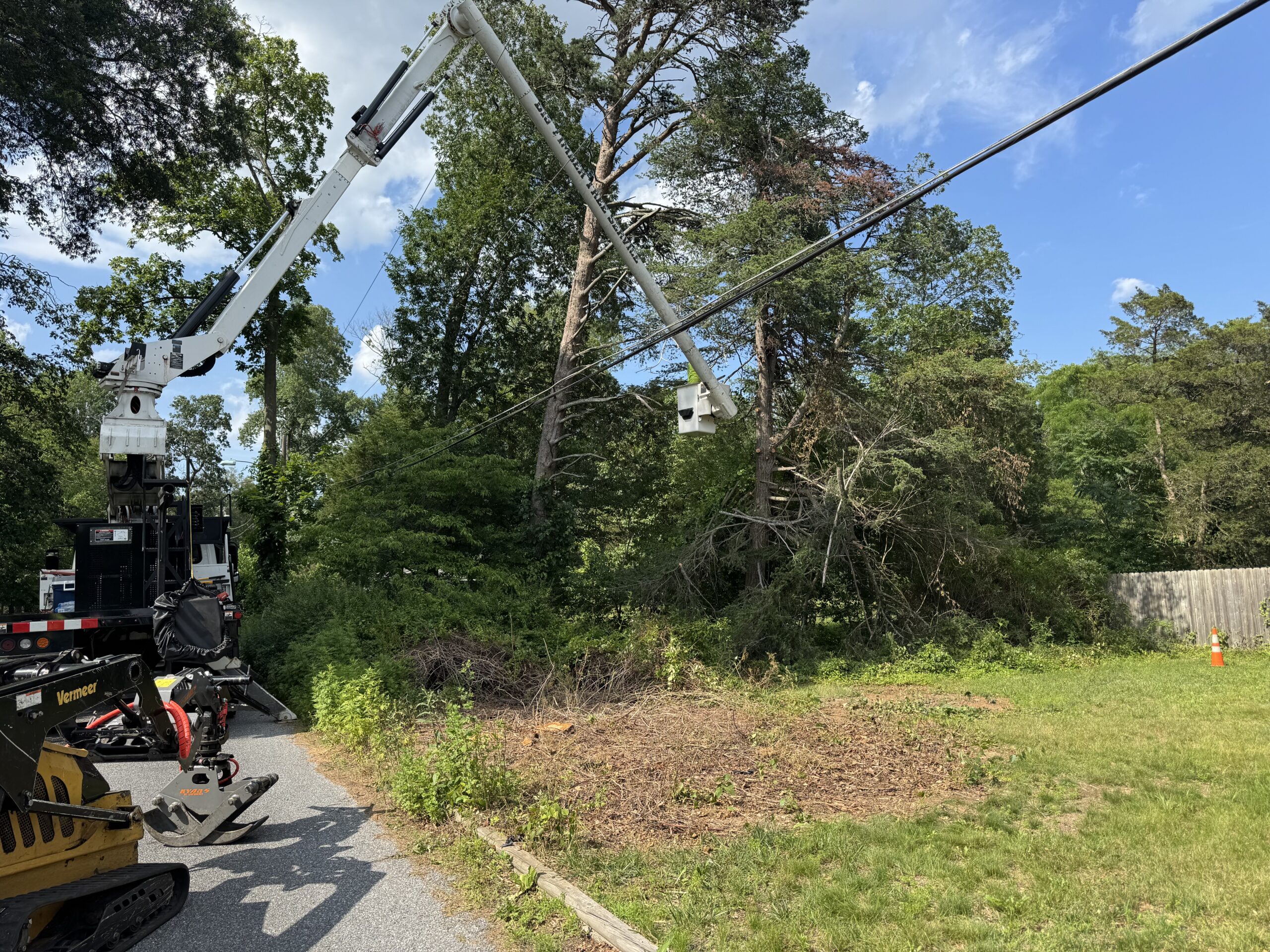 Big Timber emergency tree removal after storm damage