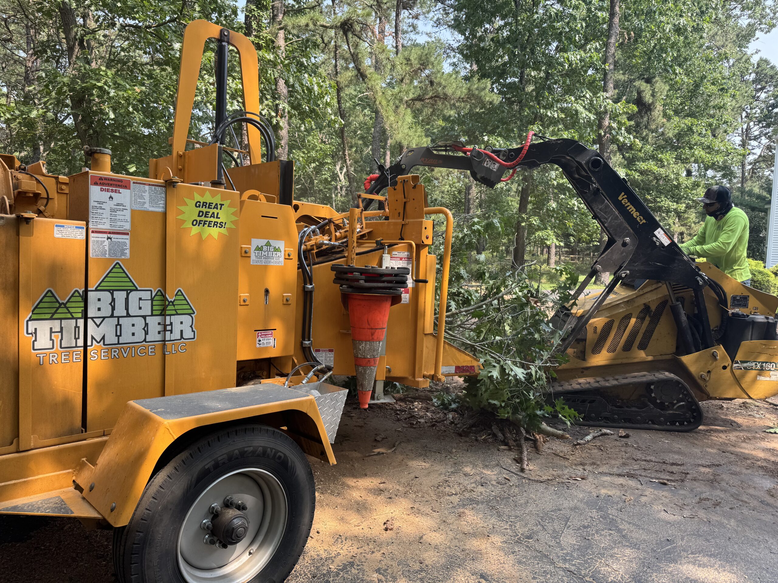 Stump Grinding After Removal