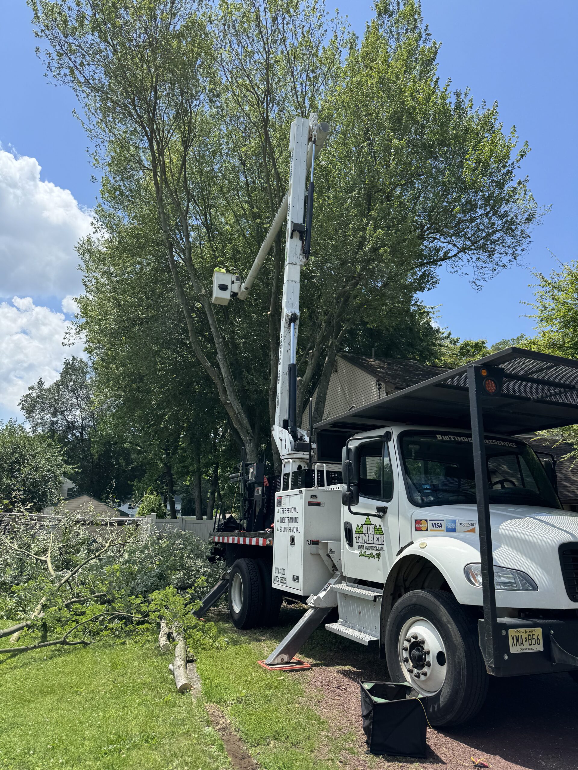 Big Timber crew pruning a mature tree over a South Jersey home