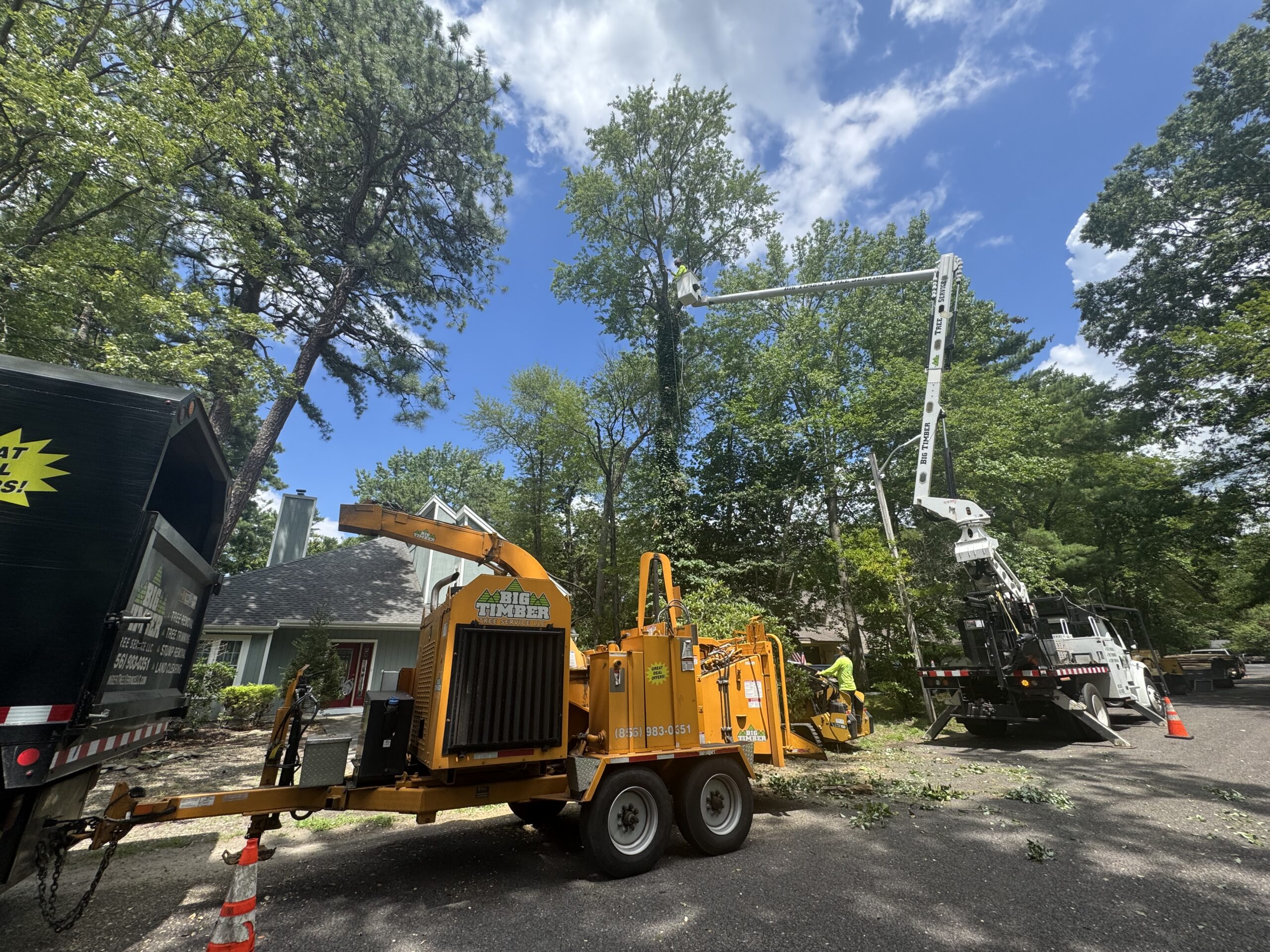 Residential and Commercial Stump Removal in Gloucester County, NJ