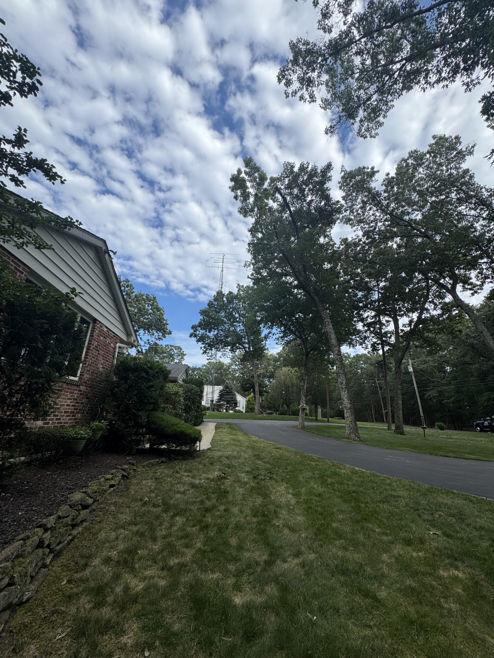 Big Timber crane lifting a tree section away from a home