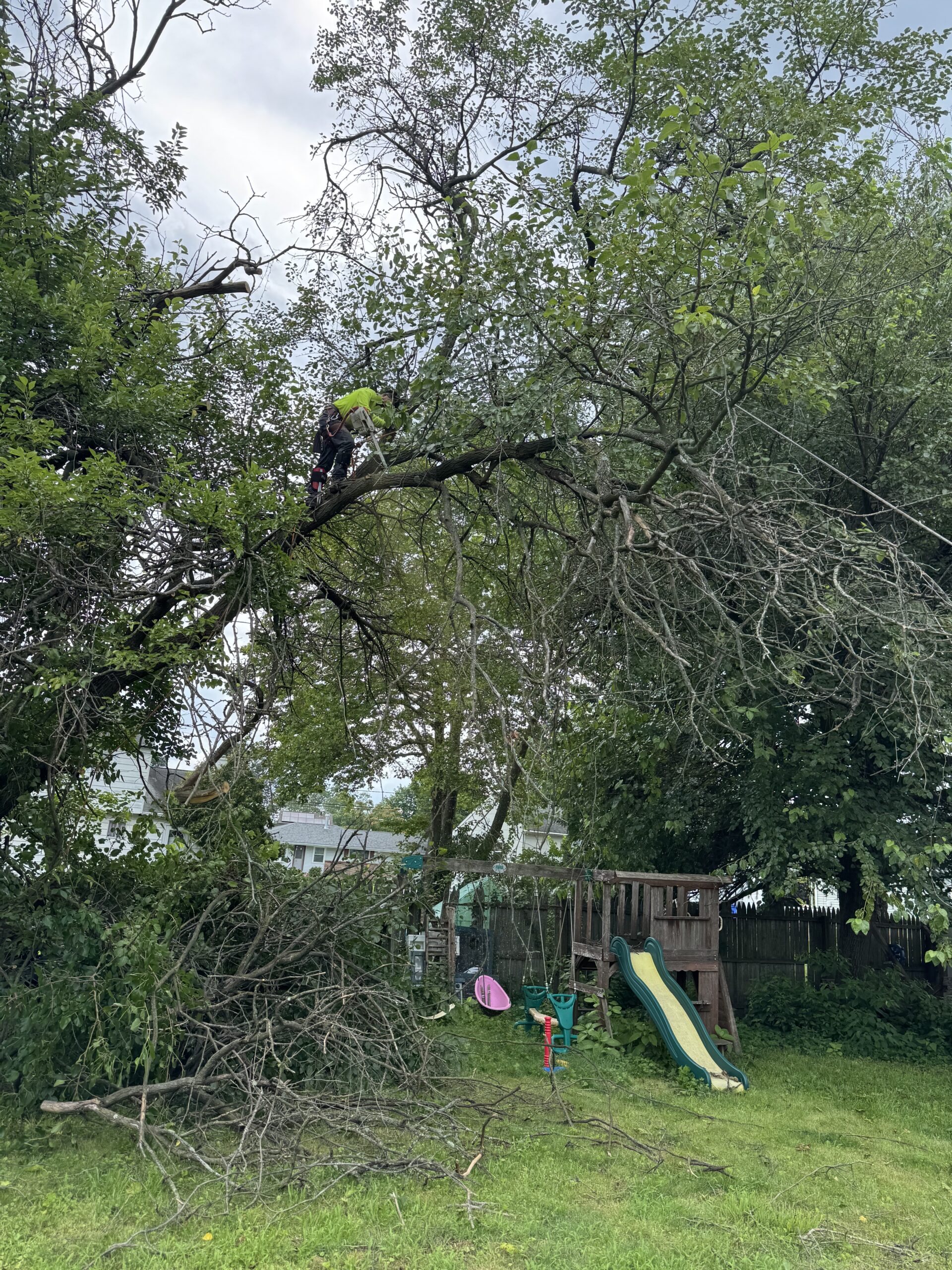 Big Timber climber sectioning a broken tree after storm damage