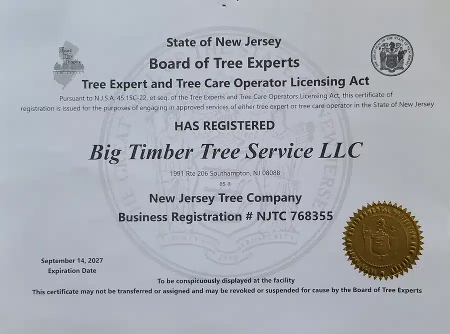 New Jersey Licensed Tree Expert certificate issued to Denney Van Istendal of Big Timber Tree Service, license number NJTC768355, valid through 2027