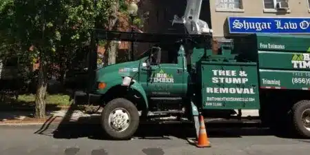 Big Timber crew removing a large tree