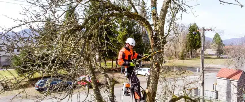 Big Timber crew clearing storm damage