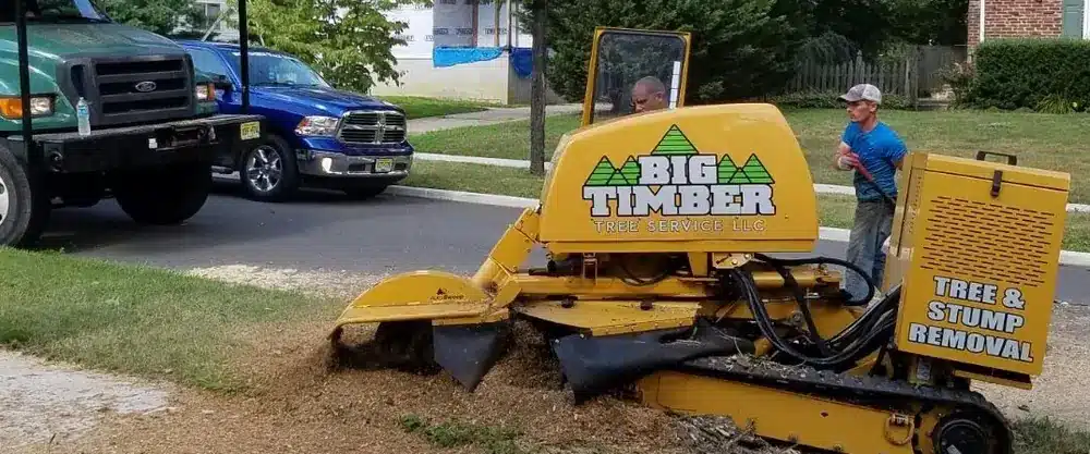 Big Timber stump grinder removing a tree stump