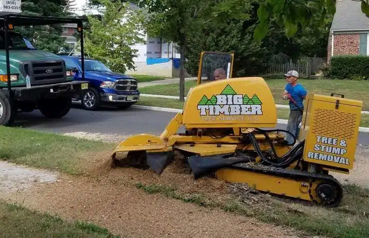 Stump grinding in Marlton, NJ
