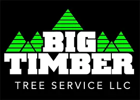 Big Timber Tree Service LLC